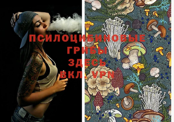 spice Лагань