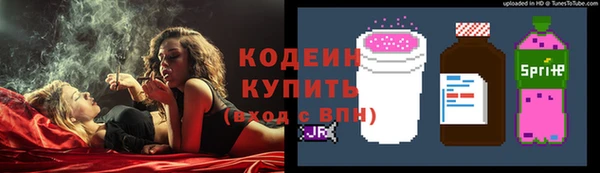 spice Лагань
