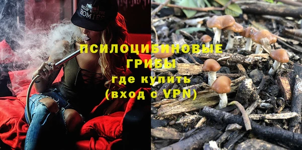 spice Лагань