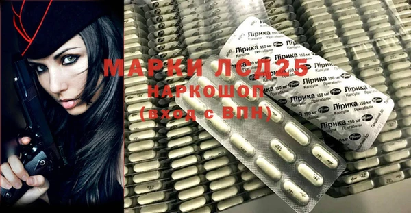spice Лагань
