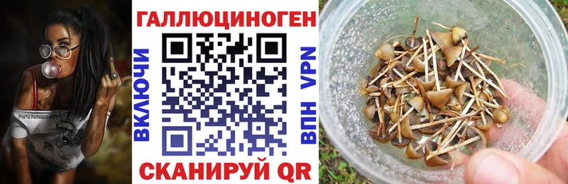 Псилоцибиновые грибы мухоморы  что такое наркотик  omg вход  Златоуст 